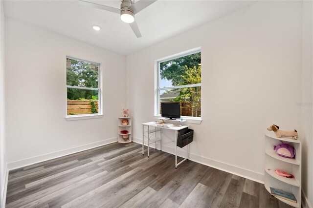 office space featuring wood-type flooring, ceiling fan, and a healthy amount of sunlight