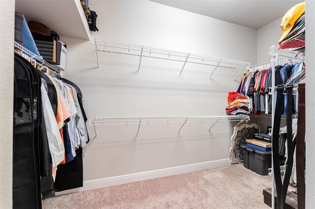 walk in closet with carpet flooring