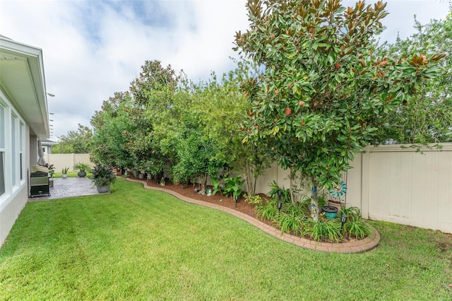 view of yard featuring a patio area