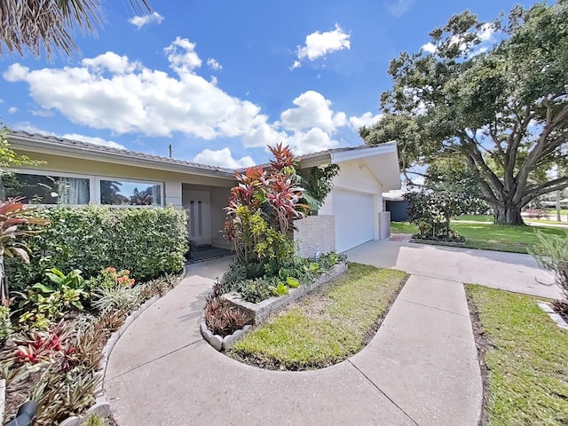 1385 Embassy Dr, Clearwater, FL 33764 - photo 4