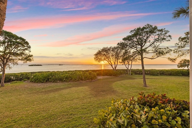 exterior space featuring a lawn and a water view