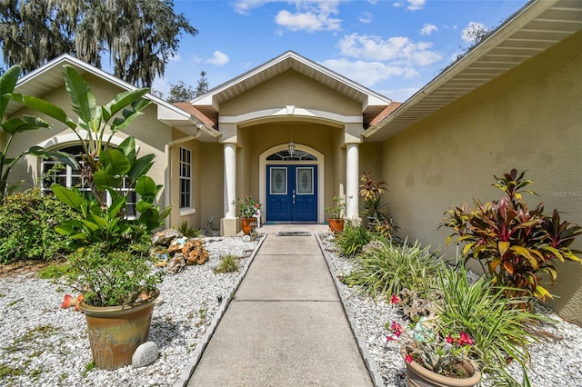 entrance to property featuring stucco siding