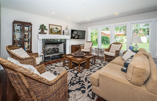 living room with a premium fireplace and hardwood / wood-style flooring