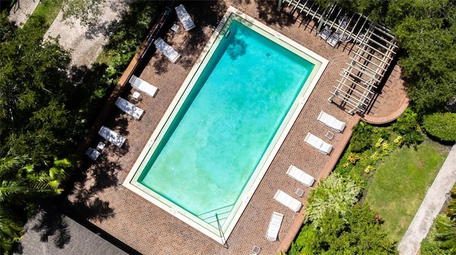 view of swimming pool