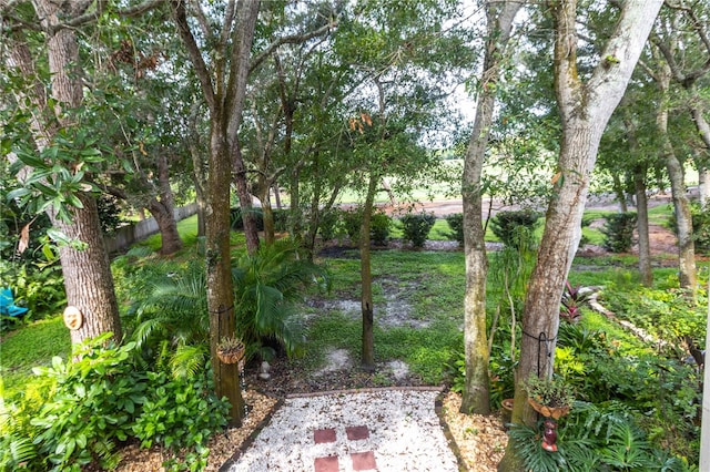 view of yard featuring a patio