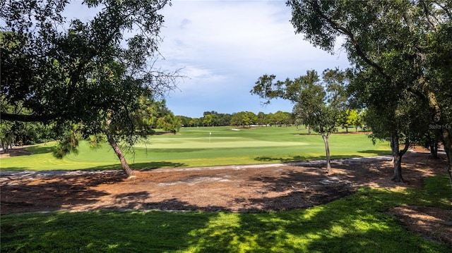 view of property's community featuring a yard