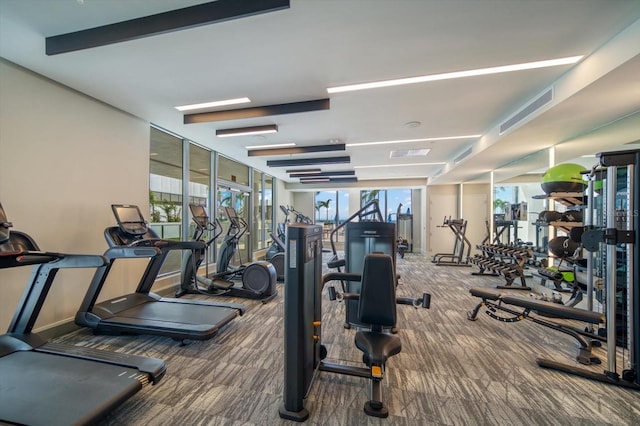 gym featuring carpet flooring