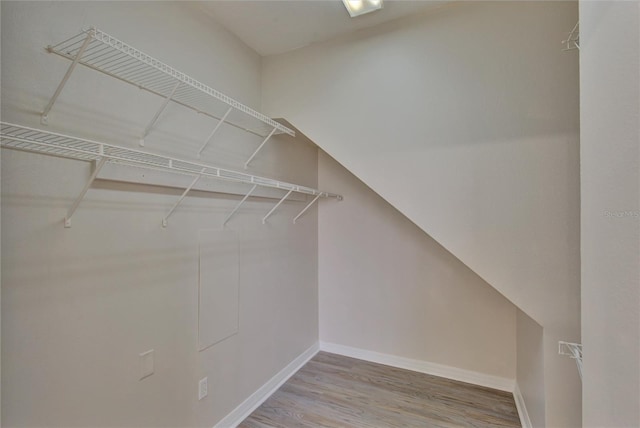 7110 Moss Ledge Run, Land O Lakes, FL 34637 - spacious closet featuring wood finished floors