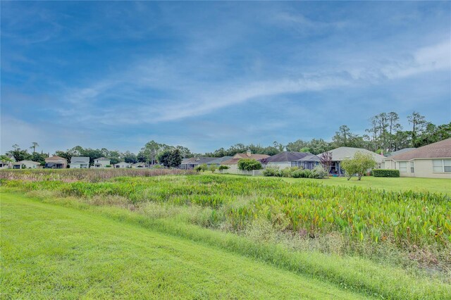 7110 Moss Ledge Run, Land O Lakes, FL 34637 - view of yard