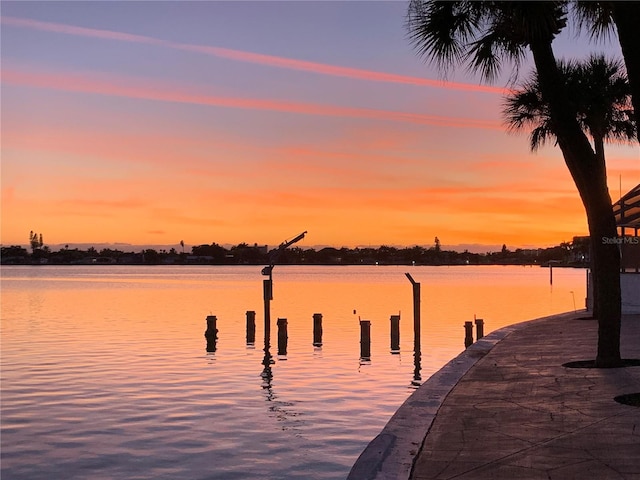 dock area featuring a water view