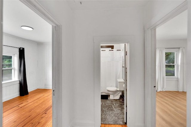 hall featuring light hardwood / wood-style floors