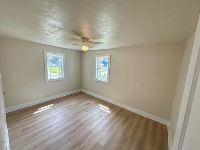 1650 Prescott St S, Saint Petersburg, FL 33712 - photo 4