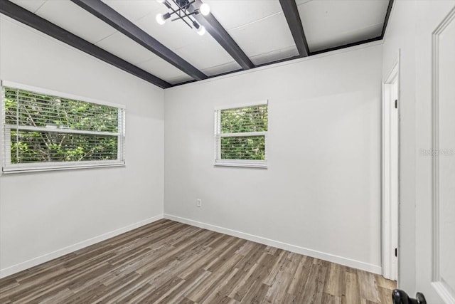 unfurnished room featuring hardwood / wood-style flooring, beam ceiling, and a wealth of natural light