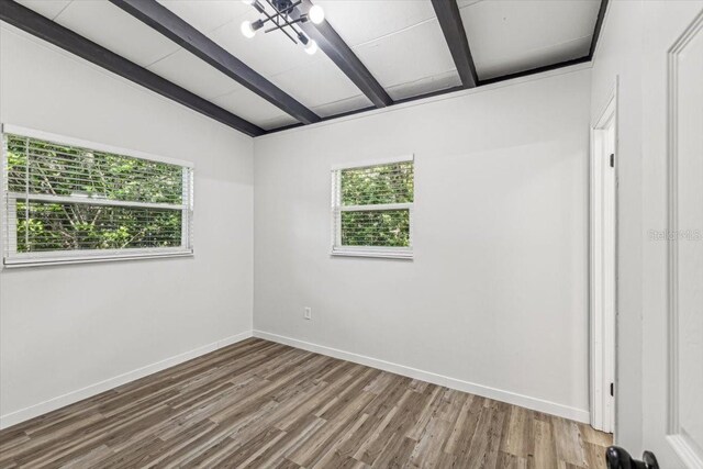 spare room with baseboards, wood finished floors, beam ceiling, and plenty of natural light