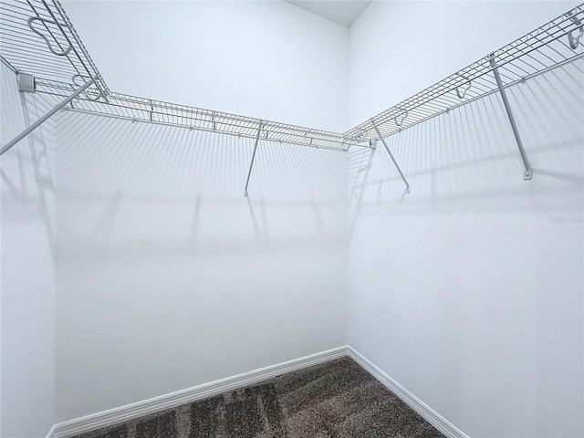 spacious closet featuring carpet floors