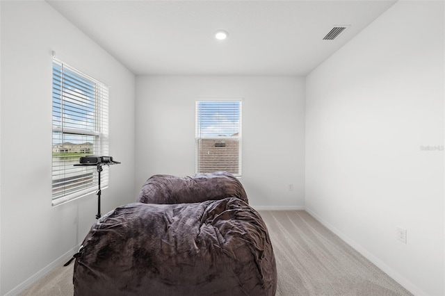 bedroom with light carpet