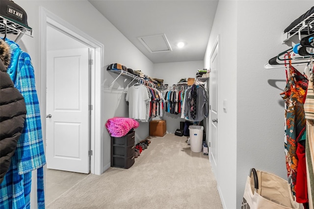 spacious closet with light carpet