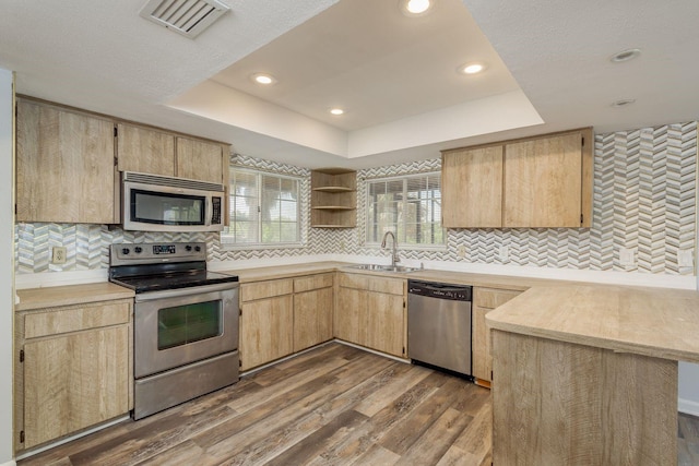 kitchen with light brown cabinetry, stainless steel appliances, dark hardwood / wood-style floors, and sink