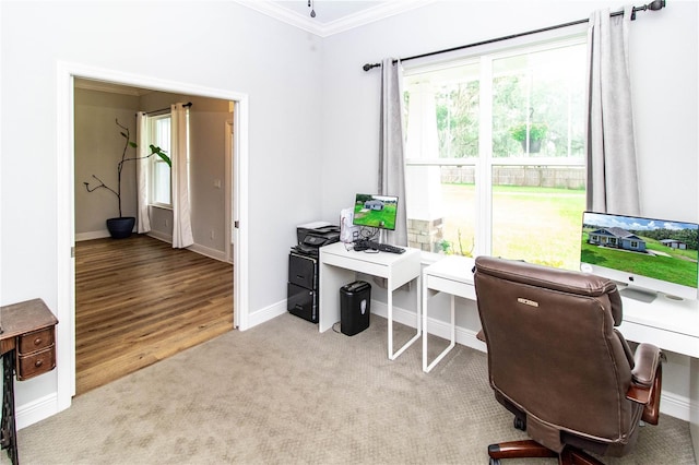 office space featuring light hardwood / wood-style flooring and crown molding