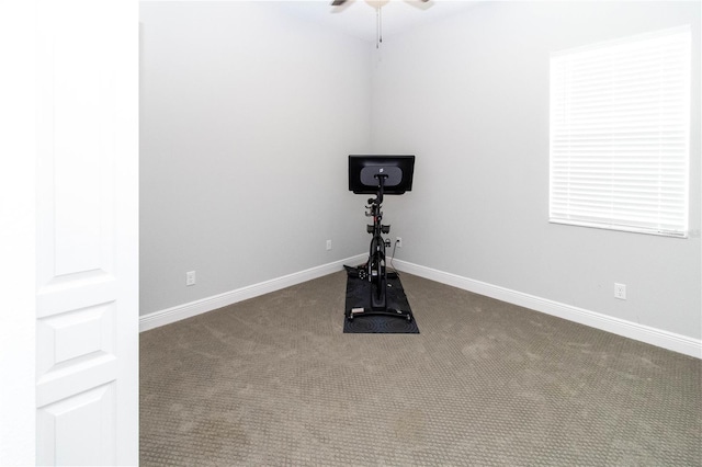 exercise area featuring carpet floors and ceiling fan