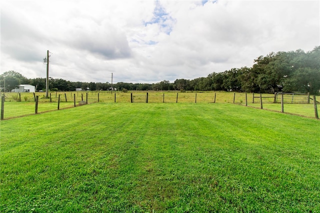 view of yard with a rural view