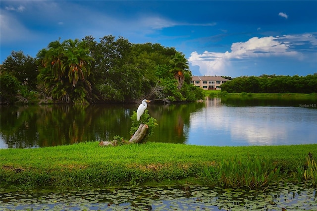 water view