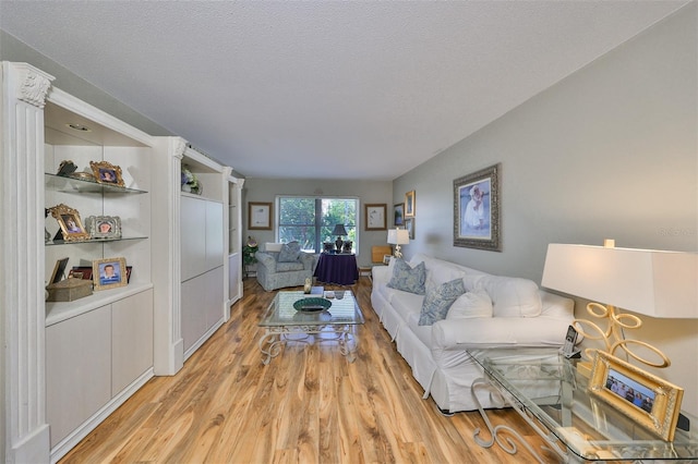 living room with a textured ceiling and light hardwood / wood-style floors