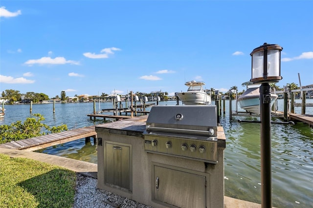 dock area with a water view