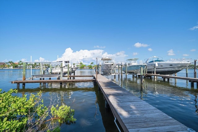 dock area with a water view