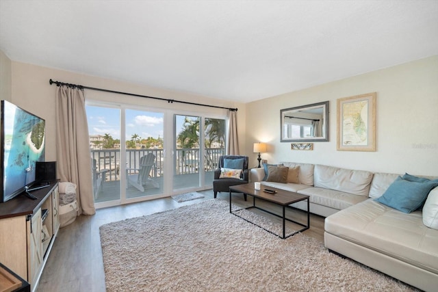 living room featuring light hardwood / wood-style flooring