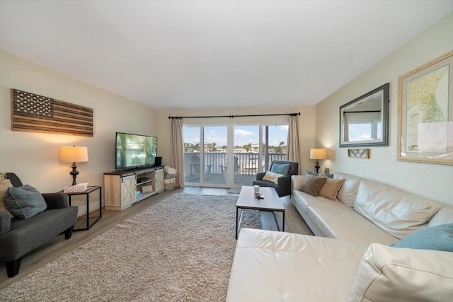 living room with light hardwood / wood-style flooring