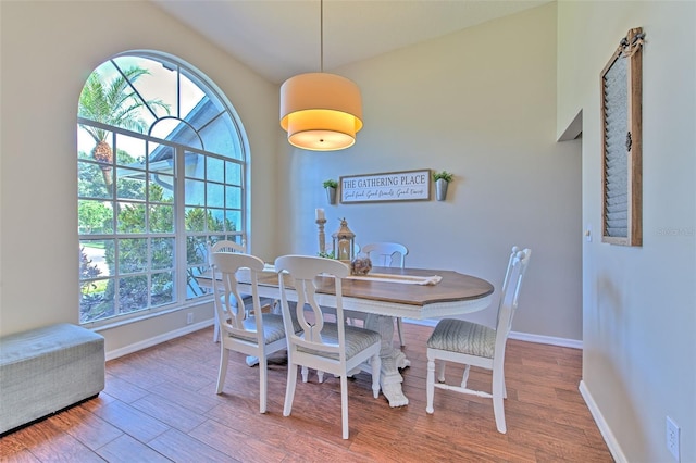 dining area featuring hardwood / wood-style floors and a healthy amount of sunlight