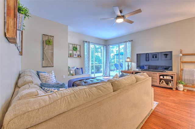 living room featuring ceiling fan and hardwood / wood-style flooring