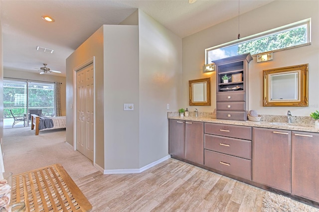 bathroom with wood-type flooring, vanity, and ceiling fan