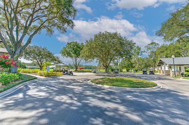 4923 Willow Ridge Ter, Valrico, FL 33596 - view of street featuring street lighting and curbs