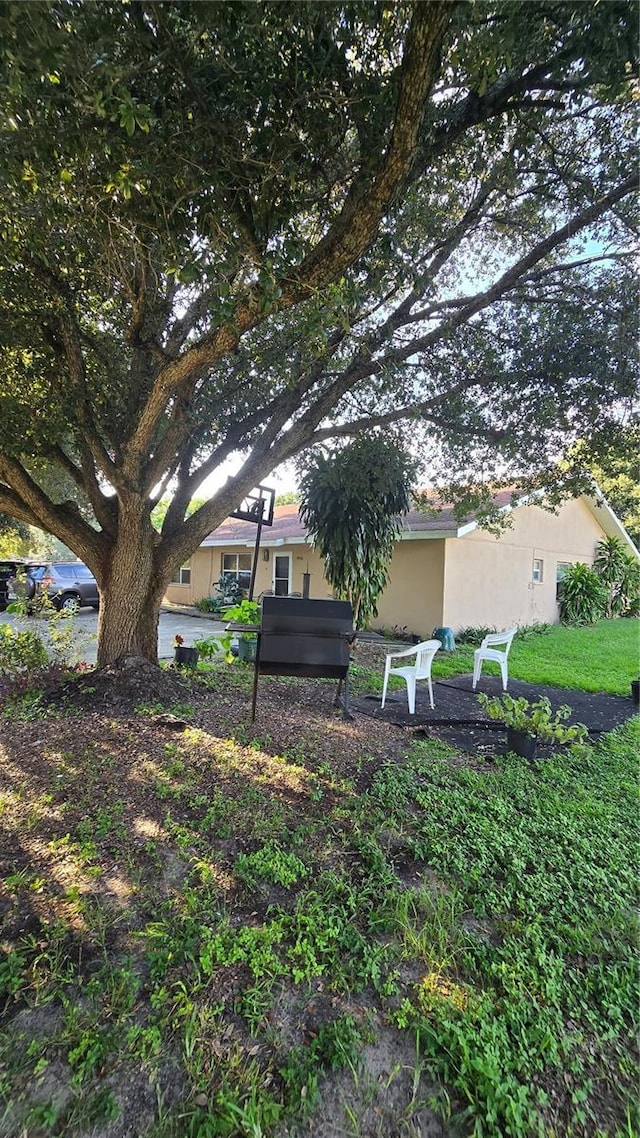 4906 E Idlewild Ave, Tampa, FL 33610 - view of yard
