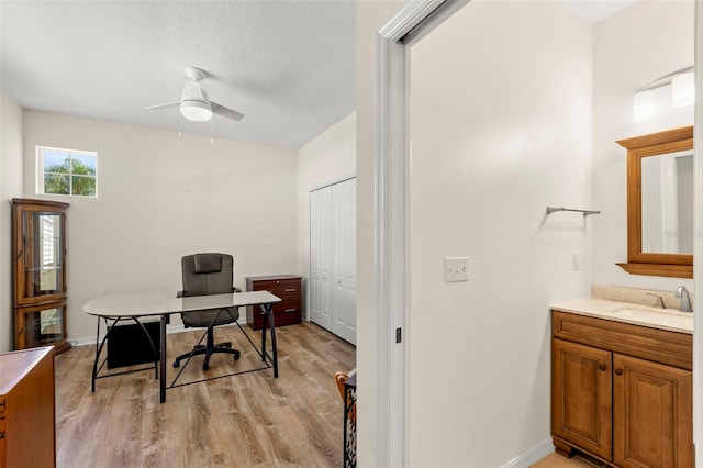 office space featuring ceiling fan, a textured ceiling, light hardwood / wood-style flooring, and sink