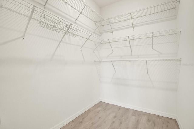 walk in closet featuring hardwood / wood-style flooring