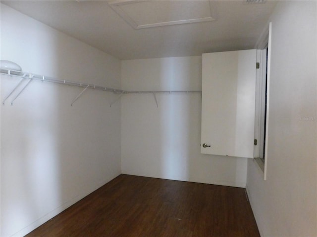 spacious closet featuring dark wood-type flooring