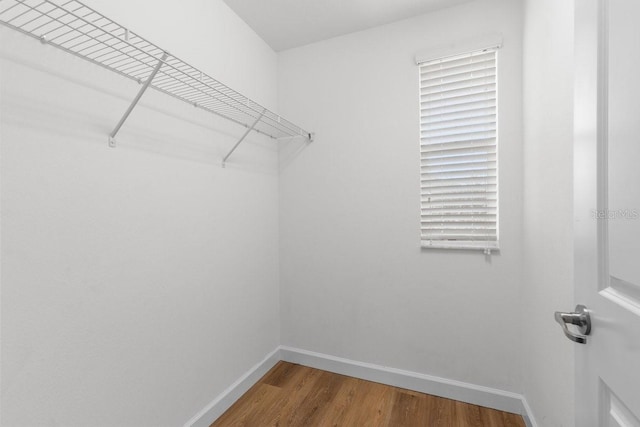 spacious closet with hardwood / wood-style flooring