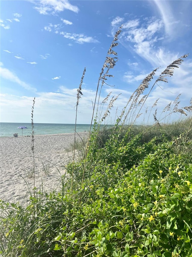 property view of water featuring a view of the beach