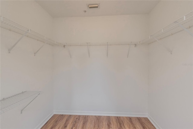 spacious closet with light hardwood / wood-style flooring