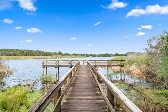 dock area featuring a water view