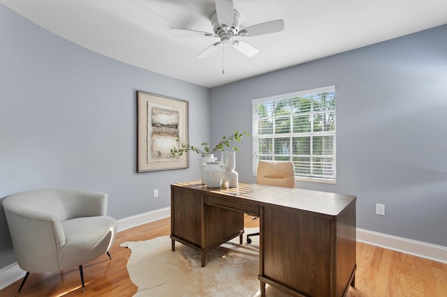 45 Adalia Ave, Tampa, FL 33606 - office area with baseboards, light wood-type flooring, and ceiling fan
