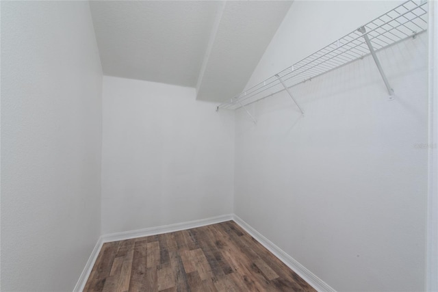 spacious closet with dark wood-type flooring