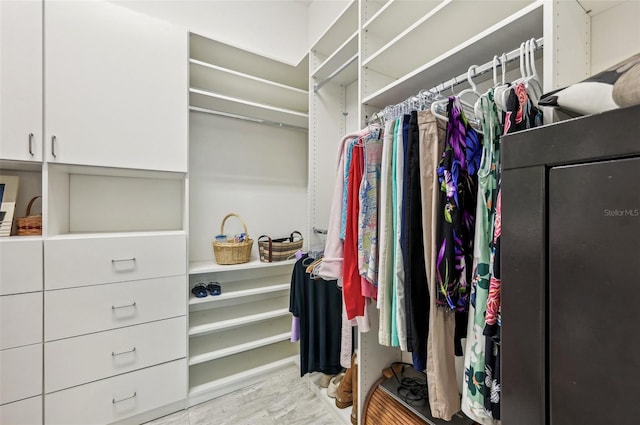 view of walk in closet