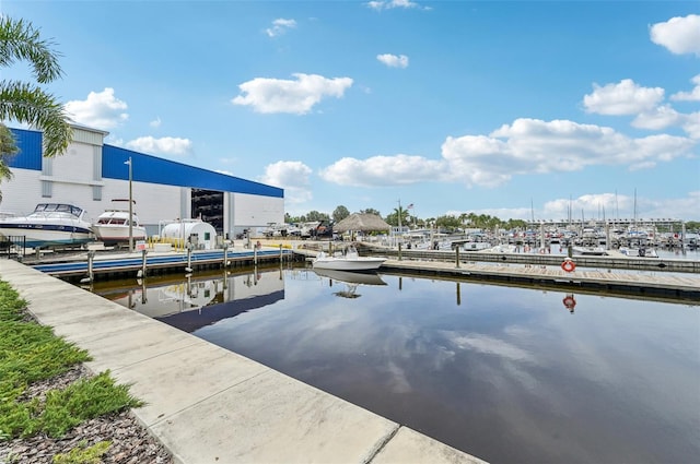 dock area with a water view