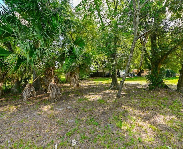 3205 N 24th St, Tampa FL, 33605 land for sale