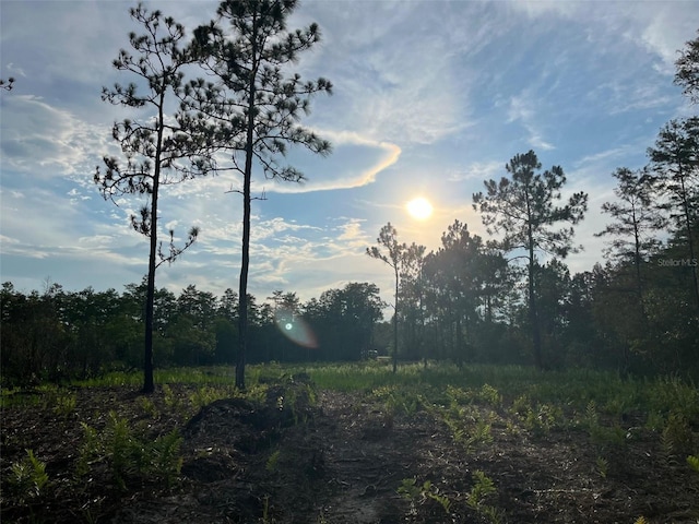 Holopaw Rd, Saint Cloud FL, 34773 land for sale