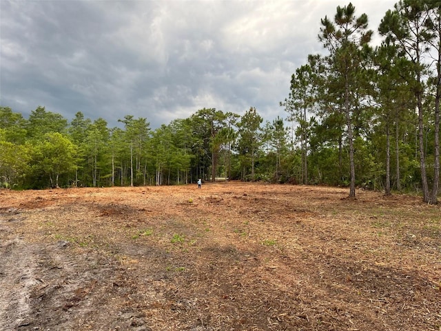 Listing photo 3 for Holopaw Rd, Saint Cloud FL 34773